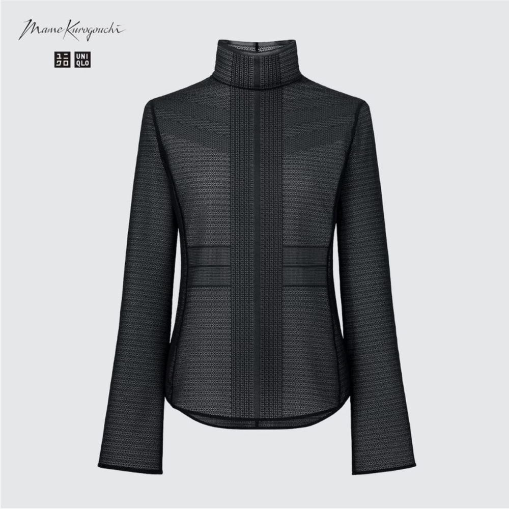 Elegant black Sheer Turtleneck Top